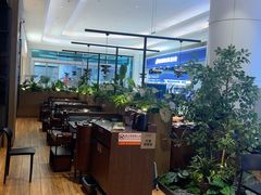-同仁四季椰子鸡(宝安壹方城店)