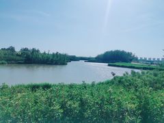 -塘沽森林公园