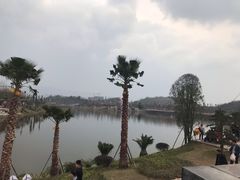 -枫香湖儿童公园