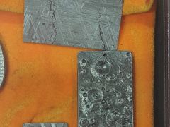 -志强陨石馆(双季花艺店)