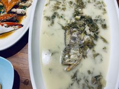 小黄鱼雪菜汤-宁海食府(天一阁望京店)
