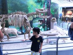 -中国地质大学逸夫博物馆
