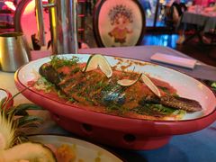 -拾光音乐餐酒吧(告庄星光夜市店)