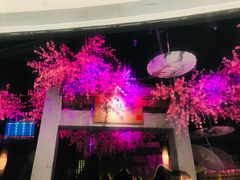-韵秋荷(宝山龙湖天街店)