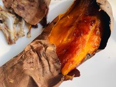 -食家鸽园