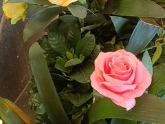 -大师傅金奖啤酒鱼(西街口总店)