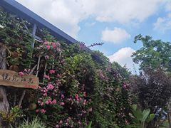 -悦见花开·花园里的火锅·露营·下午茶