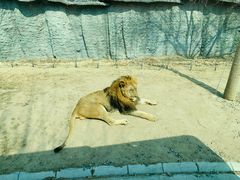 -北京野生动物园