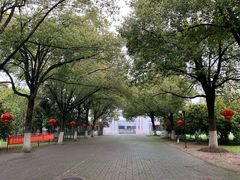 -合肥丰大国际大酒店