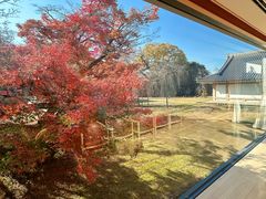 -醍醐寺