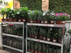 -宜家家居(西安未央商场店)