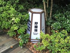 -杭州第一世界大酒店·云曼温泉