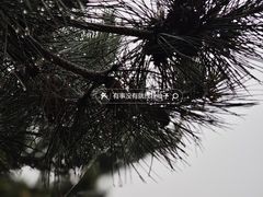 -北京古代建筑博物馆
