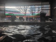 -中家鑫园温泉酒店鑫悦汤泉