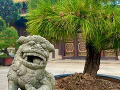 -普陀山风景名胜区-法雨禅寺