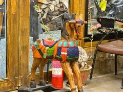 -马帮菜馆·美味野生菌