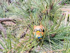 -青岛第三海水浴场