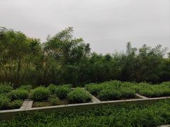 -大兴滨河森林公园