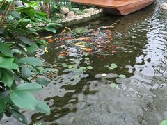 -汤山翠谷生态餐厅