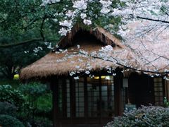 -中国茶叶博物馆(双峰馆区)