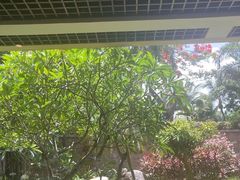 -白云中餐厅·粤菜·亚龙湾喜来登度假酒店