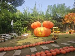 -HERRE·FARM 赫尔露营农场·团建聚会包场