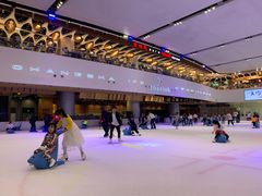 -TheRink大零溜冰场(IFS国金中心店)