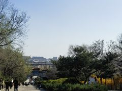 -府君山公园