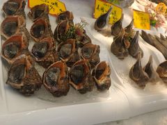 -驻海渔市(置信店)