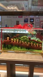 -中国黄金(塘桥店)
