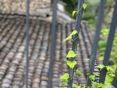 -MOJ coffee(瓯海泽雅水碓坑店)