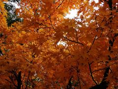 -苏州河梦清园环保主题公园