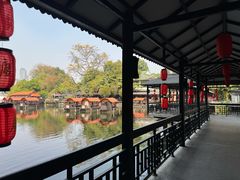 -侨美·唐荔园·40年地道粤菜