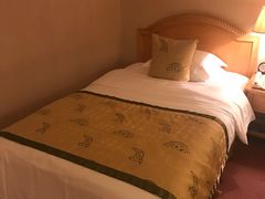 -南京维景国际大酒店(南京博物院店)