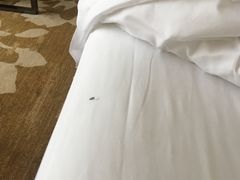 -武汉武昌站街道口华美达安可酒店