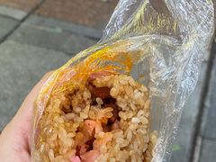 -六广门毛阿姨糯米饭