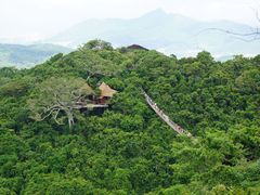 索桥-三亚亚龙湾人间天堂鸟巢度假村