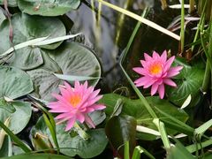 -国家植物园南园