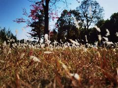 -中国移动南方基地