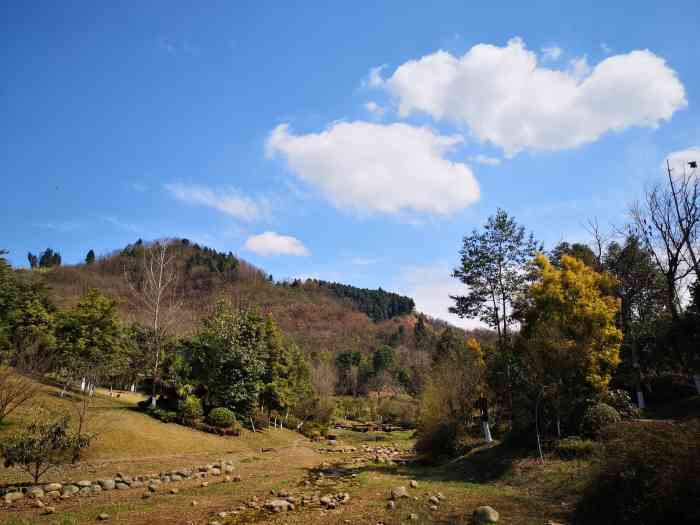 紫霞山-"这个地方就在龙泉阳光大道那边,离成都挺近."-大众点评移动版