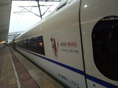 -潍坊站