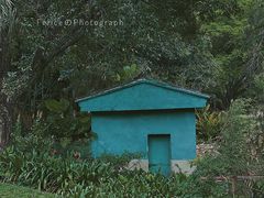 -南沙蒲洲花园