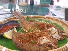 -云里小坐·小院里·团建·宴请·下午茶(三圣乡店)