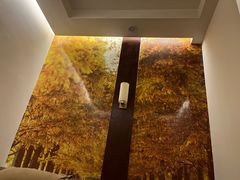 -手功王养生·足疗按摩·SPA·采耳(天府路店)