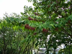 -白塘生态植物园