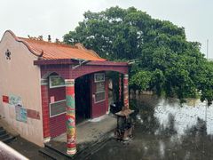 -东寨港红树林旅游区