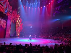 -珠海横琴长隆《卡卡虎奇遇记》