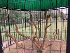 -前小桔亲子创意农场·草莓采摘·露营烧烤