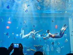 -鄂尔多斯野生动物园