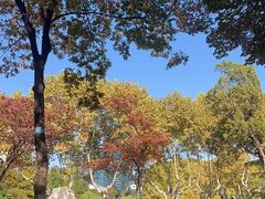 -红梅公园
